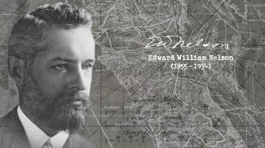 historical-backstory-00_03_09_05-still004