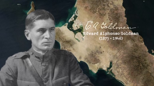 historical-backstory-00_03_28_16-still003