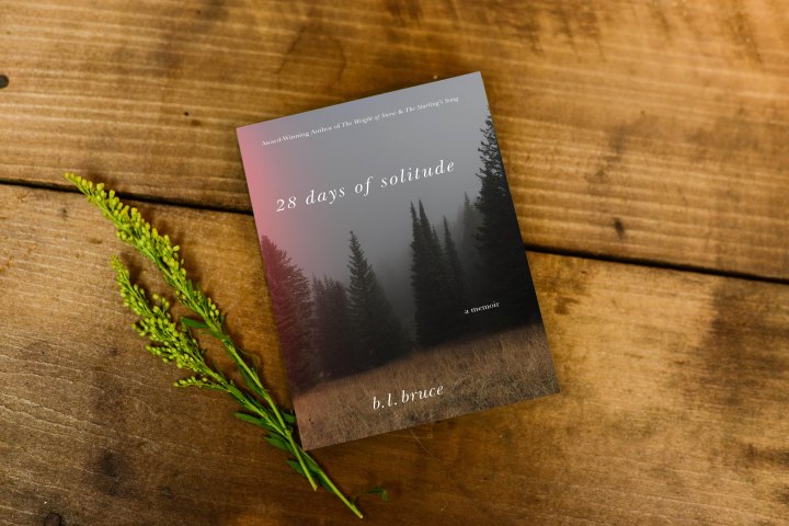 B. L. Bruce’s “28 Days of Solitude”&nbsp;Re-released