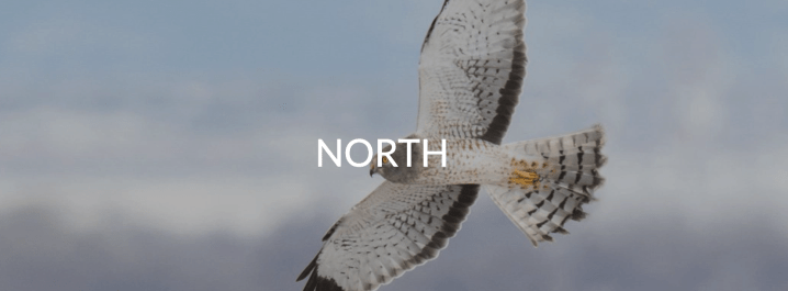 Poem “North” in&nbsp;Visitant