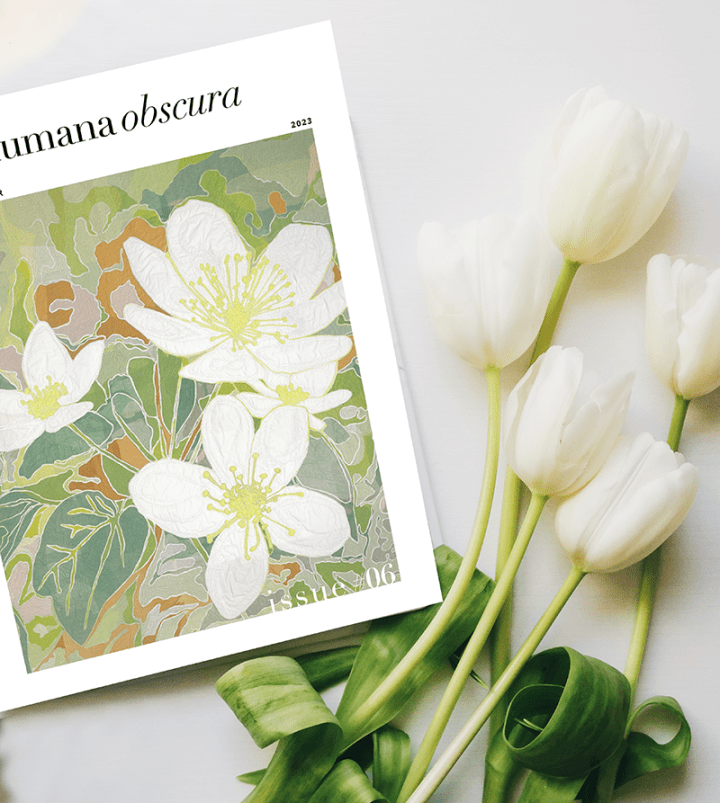 The SPRING/SUMMER 2023 Issue of Humana Obscura OUT&nbsp;NOW