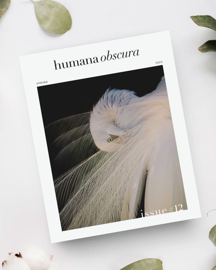 Humana Obscura: Spring 2025&nbsp;Issue